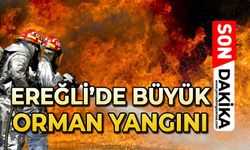 Ereğli'de büyük orman yangını