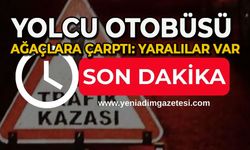 Yolcu otobüsü ağaçlara çarptı: Yaralılar var