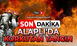 Alaplı'da korkutan yangın