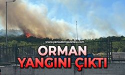 Orman yangını çıktı