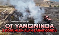Ot yangınında 3 dönümlük alan zarar gördü