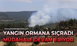 Yangın ormana sıçradı: Müdahale devam ediyor