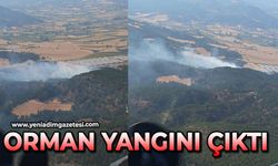 Orman yangını çıktı