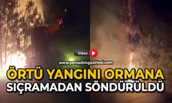 Örtü yangını ormana sıçramadan söndürüldü