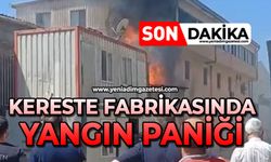 Kereste fabrikasında yangın paniği