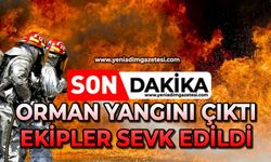 Orman yangını çıktı, ekipler sevk edildi