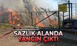 Sazlık alanda yangın çıktı