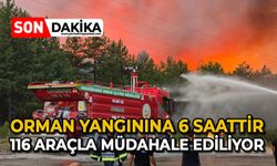 Orman yangınına 6 saattir 116 araçla müdahale ediliyor