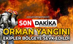 Orman yangını: Ekipler bölgeye sevk edildi