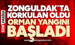 Zonguldak’ta korkulan oldu: Orman yangını başladı