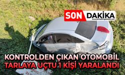 Kontrolden çıkan otomobil tarlaya uçtu 1 kişi yaralandı