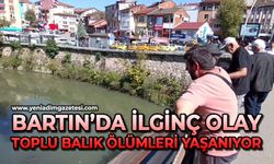Bartın’da ilginç olay: Toplu balık ölümleri yaşanıyor