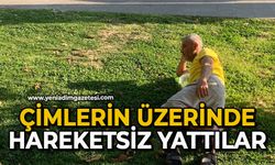 Çimlerin üzerinde hareketsiz yattılar
