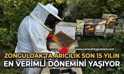 Zonguldak’ta arıcılık son 15 yılın en verimli dönemini yaşıyor