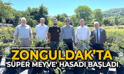 Zonguldak’ta 'Süper Meyve' hasadı başladı