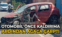 Otomobil önce kaldırıma ardından ağaca çarptı: 1 yaralı