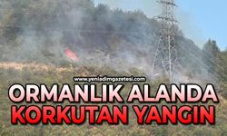 Ormanlık alanda korkutan yangın