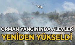 Orman yangınında alevler yeniden yükseldi