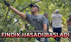 Fındık hasadı başladı