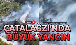 Çatalağzı'nda büyük orman yangını