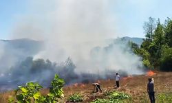 Bahçede çıkan yangın yerleşim yerlerine sıçramadan söndürüldü
