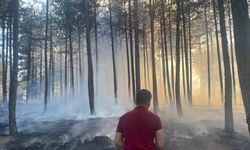 Hanönü’de çıkan orman yangını söndürüldü