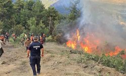 Karabük’teki orman yangınını söndürme çalışmaları devam ediyor