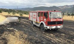Kopan elektrik teli yangına sebep oldu: 3 dönümlük tarla zarar gördü