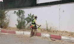 Okul bahçelerinde ot biçme çalışması yapılıyor