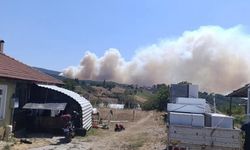 Orman yangını başladı: Ekipler bölgeye sevk edildi