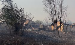 Orman yangınının enerjisi 22.5 saat sonra düştü