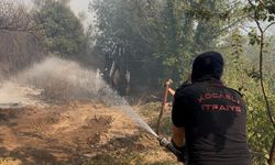 Orman yangınına 10 helikopter ve 6 uçakla müdahale sürüyor