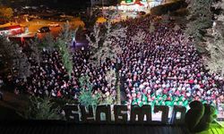 Ormanya gece sineması 5 bin katılımcıyla rekor kırdı