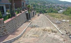 Parke yol ve kaldırım çalışmaları yapılıyor