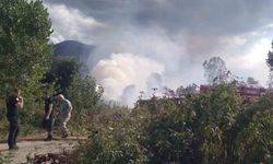 Sazlık alanda korkutan yangın