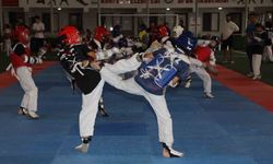 Taekwondo şenliğinde minikler hünerlerini sergiledi