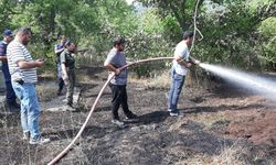 Tarlada çıkan yangın, eve ve ormana sıçramadan söndürüldü