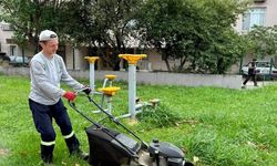 Yeşil alanların bakımı yapılıyor