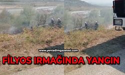 Filyos ırmağında yangın