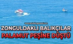 Zonguldaklı balıkçılar palamut peşine düştü