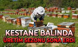 Kestane balında üretim sezonu sona erdi