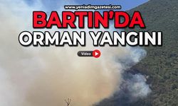 Bartın'da orman yangını çıktı