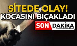 Sitede olay: Kocasını bıçakladı!