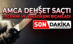 Amca dehşet saçtı: Yeğenini bıçakladı