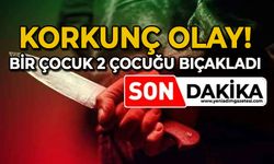 Bir çocuk 2 çocuğu bıçakladı!