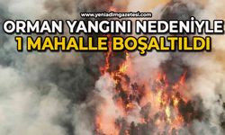 Orman yangını nedeniyle bir mahalle boşaltıldı