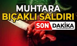 Muhtara bıçaklı saldırı