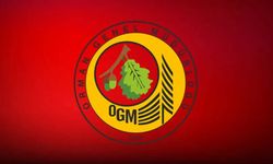 Fidan Üretim ve Bakım İşleri Kontrolü Hizmeti Alım İşi