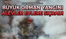 Büyük orman yangını: Alevler evlere de sıçradı