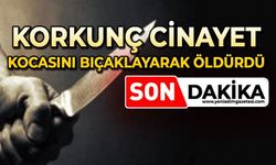 Kocasını bıçaklayarak öldürdü